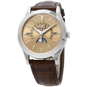 Patek Philippe Grand Complications Platinum Automatic Prepetual Calendar Men's Watch 5496P-014